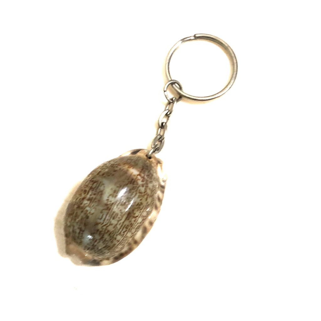 Sea Shale Key Holder